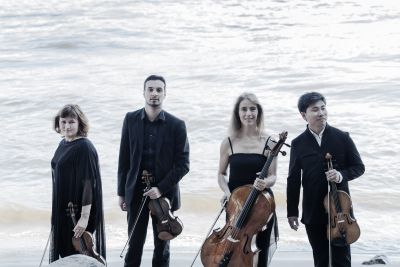 Elbphilharmonische Kl&auml;nge - NOAH Quartett