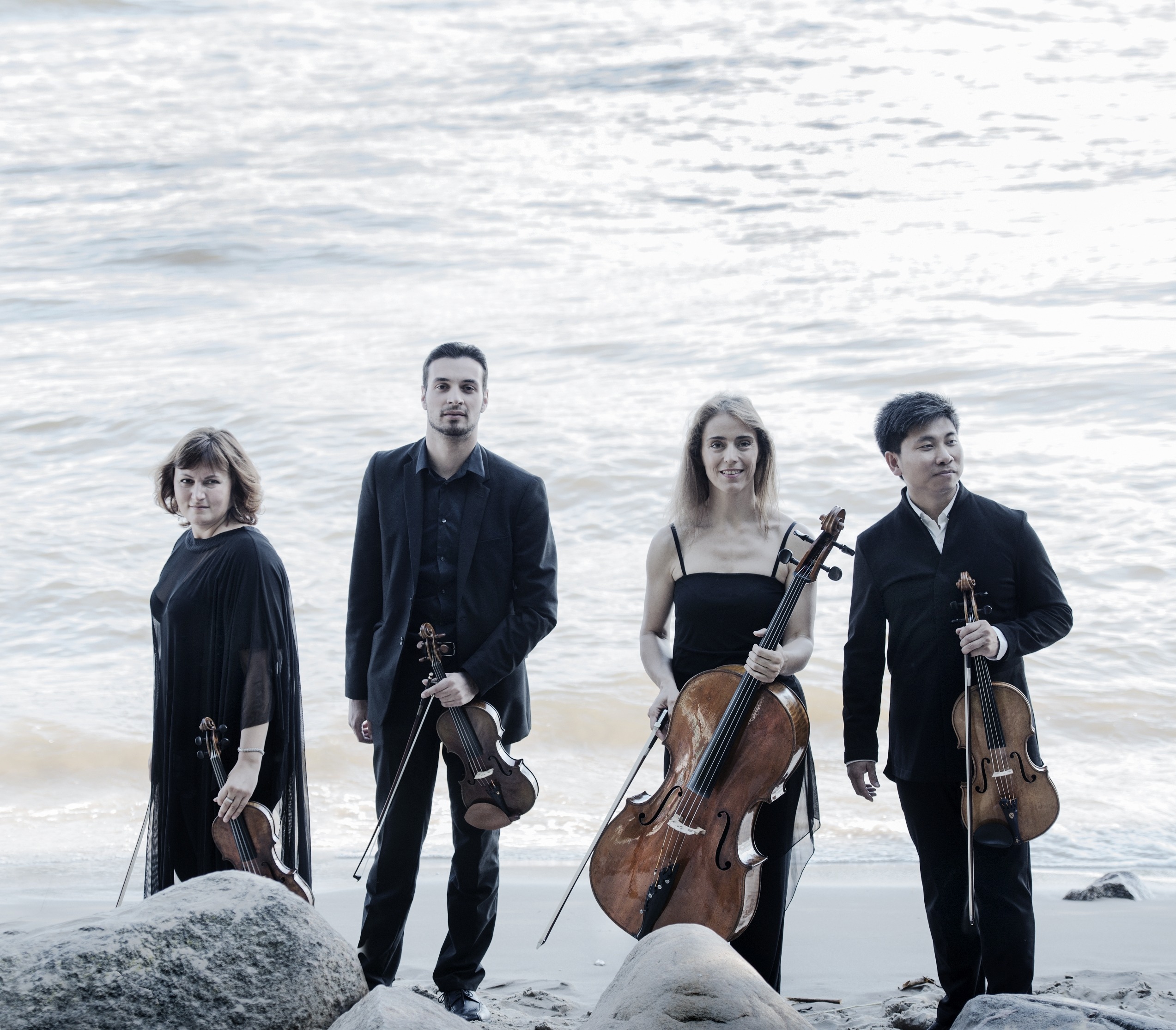 Read more about the article Elbphilharmonische Klänge – NOAH Quartett