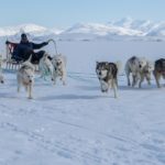 Read more about the article Island und Grönland – Naturparadies des Nordens – Im Bann des 3D-Fotografen und Filmemachers Stephan Schulz